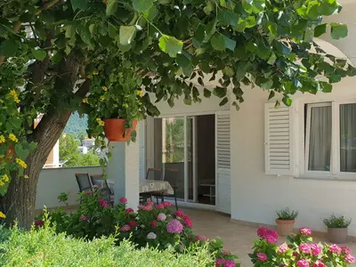 Ferienwohnung für 5 Personen (75 m²) in Novi Vinodolski 1/10