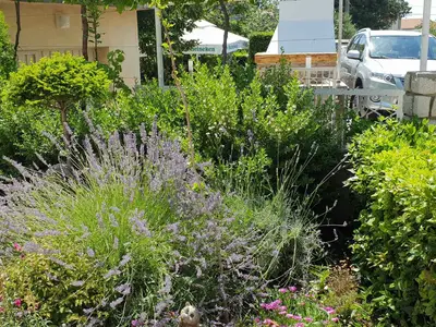 Ferienwohnung für 5 Personen (75 m²) in Novi Vinodolski 3/10