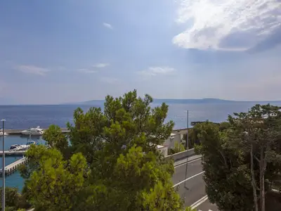 Ferienwohnung für 4 Personen (45 m²) in Novi Vinodolski 5/10