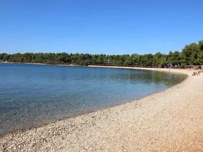 Ferienwohnung für 4 Personen (50 m²) in Novigrad 10/10