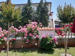 23917621-Ferienwohnung-4-Novigrad-300x225-3