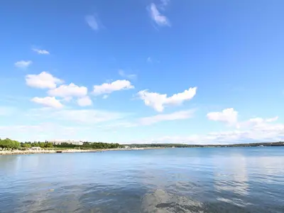 Ferienwohnung für 3 Personen (70 m²) in Novigrad 2/10