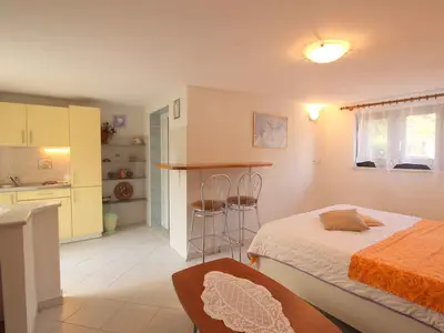 Ferienwohnung für 2 Personen (28 m²) in Novigrad 5/10