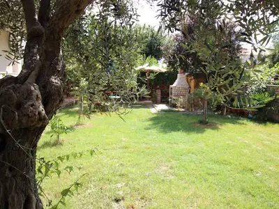 Ferienwohnung für 4 Personen (45 m²) in Novigrad 2/10