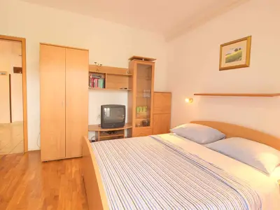 Ferienwohnung für 4 Personen (45 m²) in Novigrad 6/10
