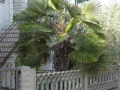 Ferienwohnung für 4 Personen in Novigrad 8/10