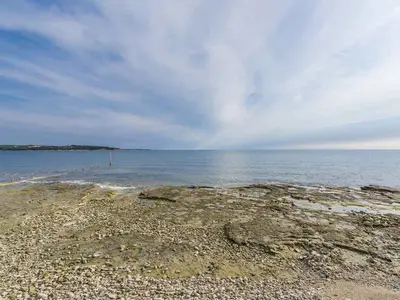 Ferienwohnung für 6 Personen (80 m²) in Novigrad 3/10