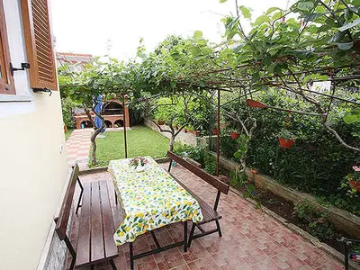 Ferienwohnung für 4 Personen (40 m²) in Novigrad 9/10