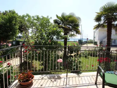 Ferienwohnung für 3 Personen (40 m²) in Novigrad 1/10