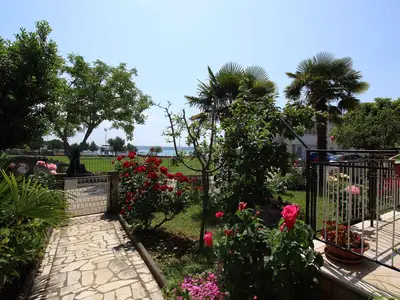 Ferienwohnung für 3 Personen (40 m²) in Novigrad 2/10