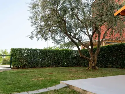 Ferienwohnung für 5 Personen (80 m²) in Novigrad 9/10
