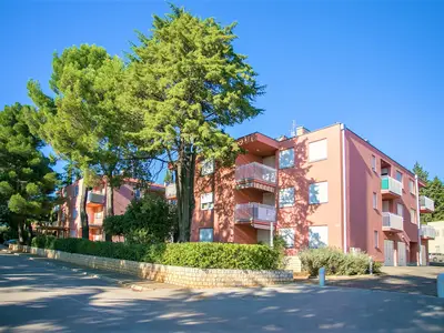 Ferienwohnung für 3 Personen (47 m²) in Novigrad 1/10