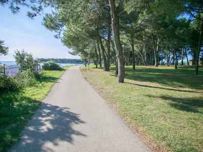 Ferienwohnung für 3 Personen (47 m²) in Novigrad 3/10