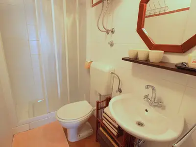 Ferienwohnung für 3 Personen (55 m²) in Novigrad 10/10