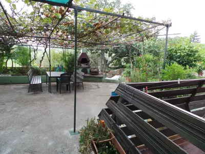 Ferienwohnung für 2 Personen (35 m²) in Novigrad 2/10