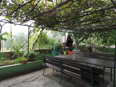 Ferienwohnung für 3 Personen (35 m²) in Novigrad 2/10