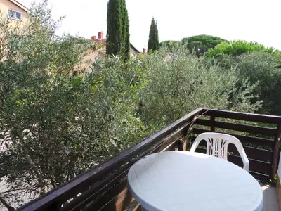 Ferienwohnung für 2 Personen (35 m²) in Novigrad 8/10