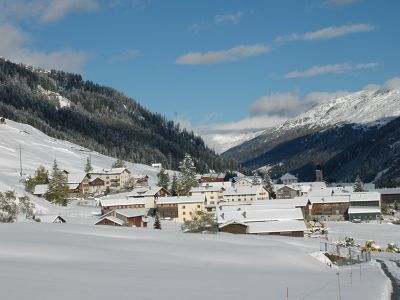 Blick auf das Dorf Nufenen
