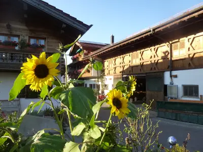 Zacherlhof vom Garten mit Blick zum Hof
