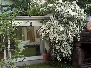 Ferienwohnung für 4 Personen (59 m²) in Nußloch