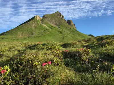 Damülser Mittagsspitze