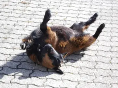 Bild 6