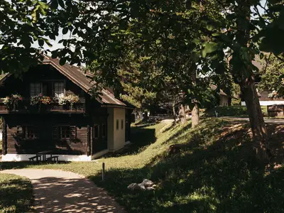 Ferienwohnung für 4 Personen (35 m²) in Oberaichwald 7/10