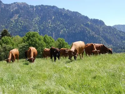 Ferienwohnung für 2 Personen (58 m²) in Oberammergau 8/10