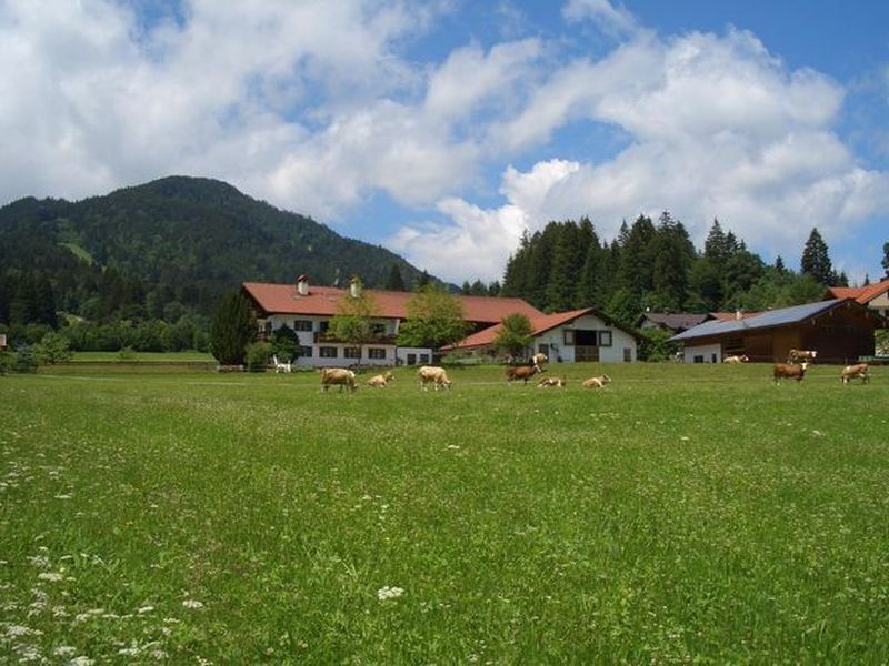 21645121-Ferienwohnung-2-Oberammergau-800x600-2