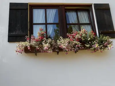 Ferienwohnung für 3 Personen (50 m²) in Oberammergau 5/10