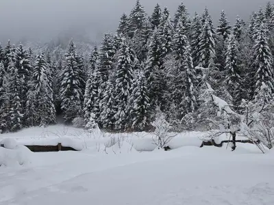 Ferienwohnung für 2 Personen (45 m²) in Oberammergau 8/10