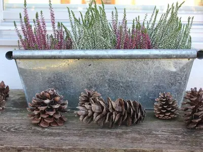 Ferienwohnung für 4 Personen (68 m²) in Oberammergau 6/10