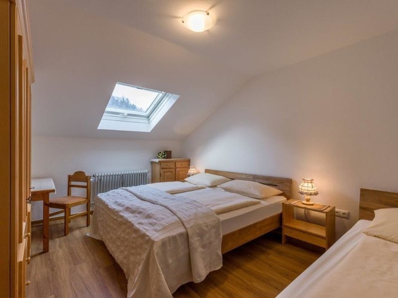 23913714-Ferienwohnung-7-Oberaudorf-800x600-0