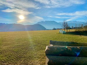 Sommerwiesen mit Blick auf das Kaisergebirge