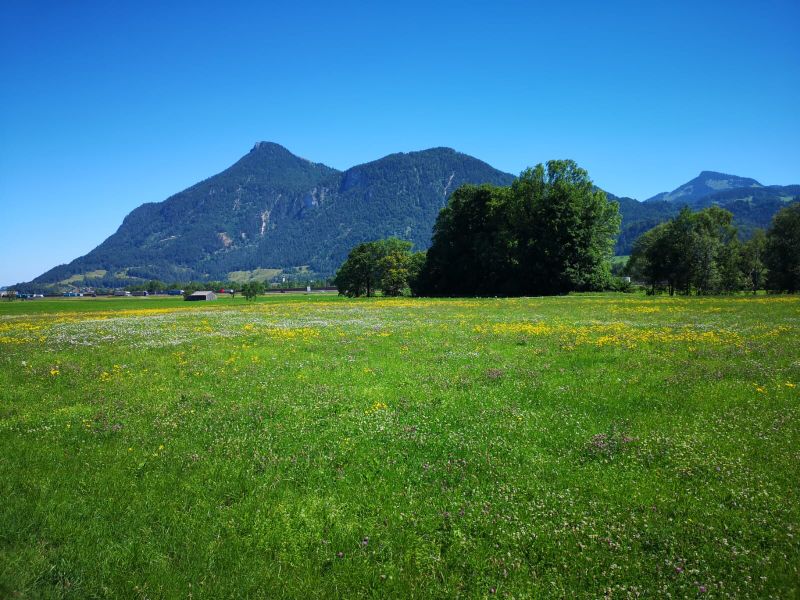 23541349-Ferienwohnung-6-Oberaudorf-800x600-1