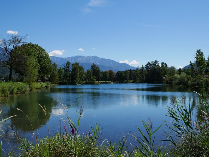 23992279-Ferienwohnung-4-Oberaudorf-800x600-2