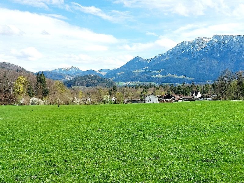 23993352-Ferienwohnung-4-Oberaudorf-800x600-2