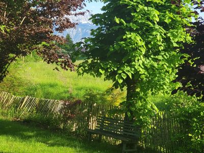 Blick in den Garten FW Kranzhorn