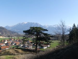 22367139-Ferienwohnung-4-Oberaudorf-300x225-5