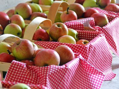 Äpfel aus dem eigenen Obstgarten