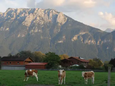 Blick zum Kaisergebirge