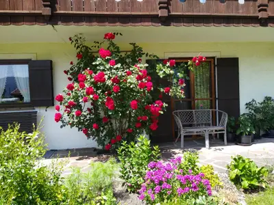 Blumenpracht ums Haus