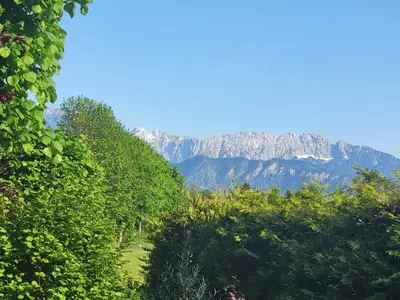Blick von der Terrasse in den Garten FW Kranzhorn