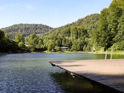 Luegsteinsee mit Badesteg im Sommer