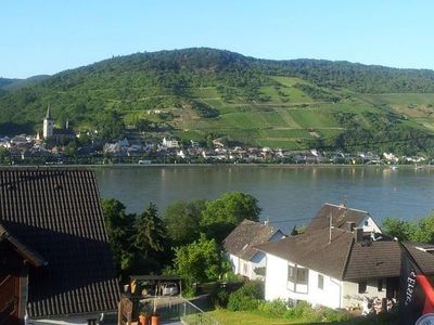 Sicht auf den Rhein