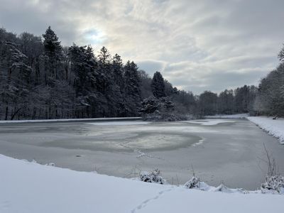 Teich im Winter Foto 3