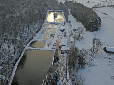 Teichanlage von oben