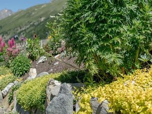 2608570-Ferienwohnung-2-Obergurgl-300x225-5