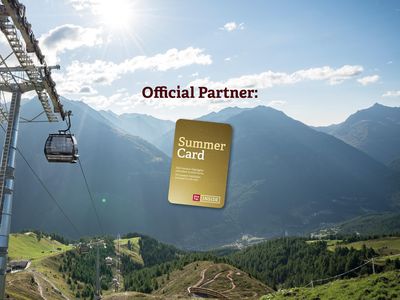 Summer Card Partner