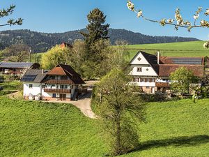 Ferienwohnung für 4 Personen in Oberharmersbach